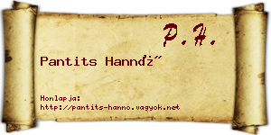 Pantits Hannó névjegykártya